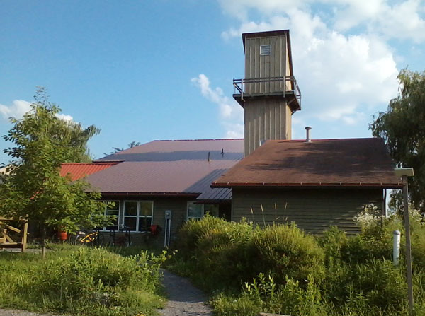 This image has an empty alt attribute; its file name is frog-ch-1.jpg